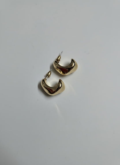 Elegant Design – Gold Plated Earrings