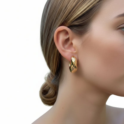 Elegant Design – Gold Plated Earrings